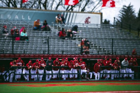 The WSU baseball team watches from the dugout during a home game against Texas State, Saturday, March 8.