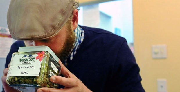 David Temple, of Dallas, smells a variety of marijuana called Agent Orange at the Northern Lights Cannabis Co. in Edgewater near Denver, Colo., Jan. 24, 2014.