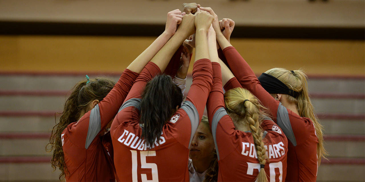 Cougars+huddle+during+a+match+at+the+Golden+Dome+Invite.
