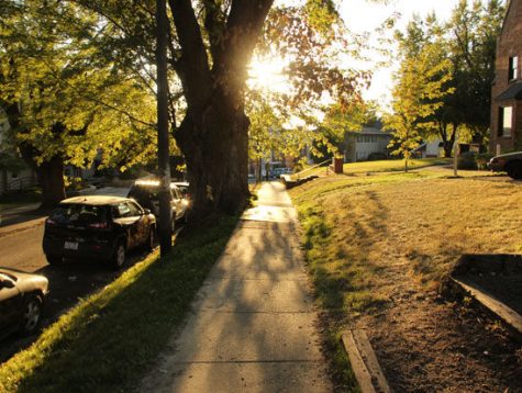 A top WSU's College Hill, Greek Row is home to many of the school's fraternity and sorority organizations.