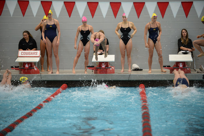 A+WSU+swimmer+dives+into+the+pool+after+her+teammate+taps+the+wall+during+a+relay+medley+in+Gibb+Pool+against+the+California+Golden+Bears%2C+Oct.+10%2C+2015.