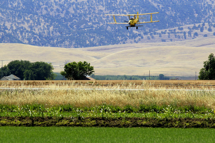 A+crop+duster+dives+over+a+flooded+rice+field+on+May+23%2C+2013%2C+in+California%E2%80%99s+Sacramento+Valley.%C2%A0
