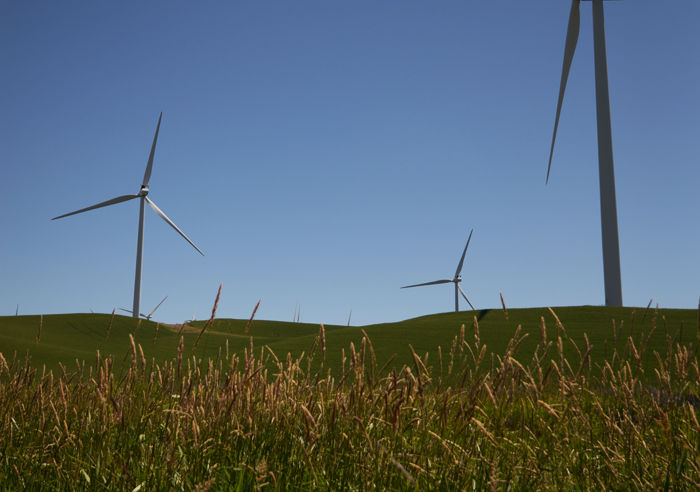 Palouse+Wind%2C+the+wind+farm+on+U.S.+Route+195%2C+generates+almost+enough+energy+to+power+a+city+the+size+of+Pullman.