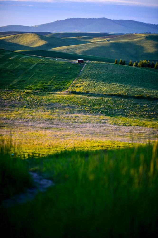 Palouse+sunset+taken+by+the+Cougar+Ridge+apartments%2C+May+25.+%C2%A0WSU+is+receiving+several+grants+from+the+USDA+for+irrigation+efficiency+and+cheaply+transporting+manure.