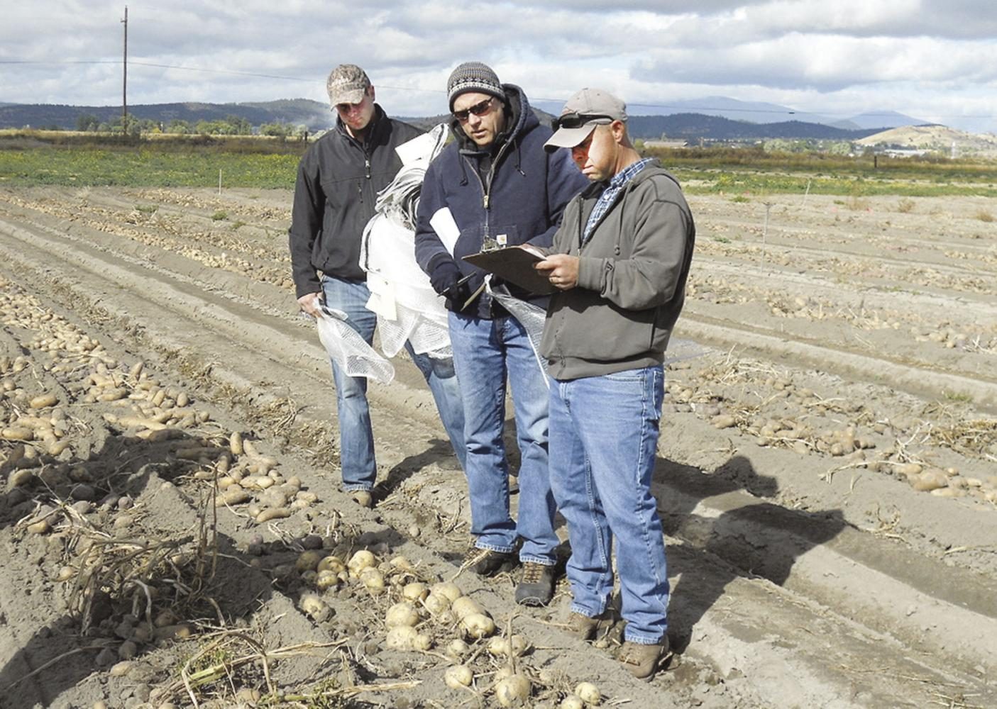 Rick+Knowles+and+Mark+Pavek+look+at+the+potatoes+they%E2%80%99ve+grown+in+their+research+program.