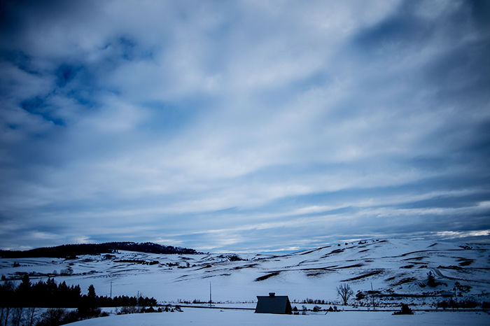 Palouse hills on Saturday afternoon in Moscow. Snow mold threatens farmers’ fields.