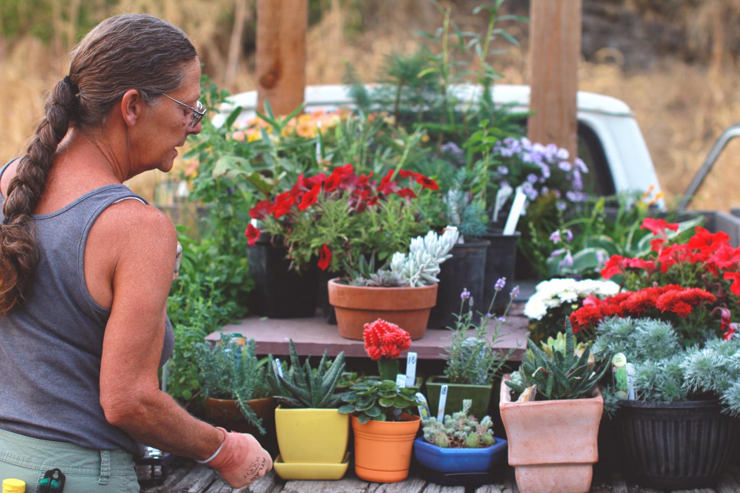 Trina Anderson show off a wide assortment of plants at the Pullman Farmers Market Wednesday.