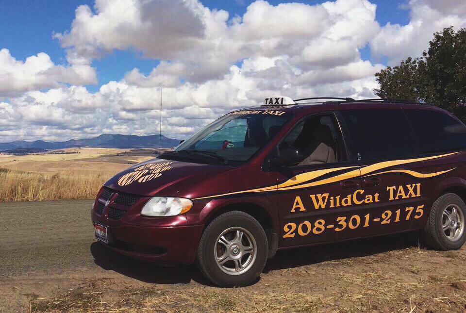 Wildcat Taxi is one of several small transportation services operating locally.