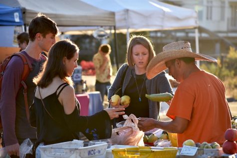 Rafael Aviña of Aviñas Garden provides a range of vegetables and fruit to members of the Pullman community in 2017.  His booth at the Pullman Farmers Market features pesticide free honey crisp and ginger gold apples, Italian plums, peppers, and tomatillos.  