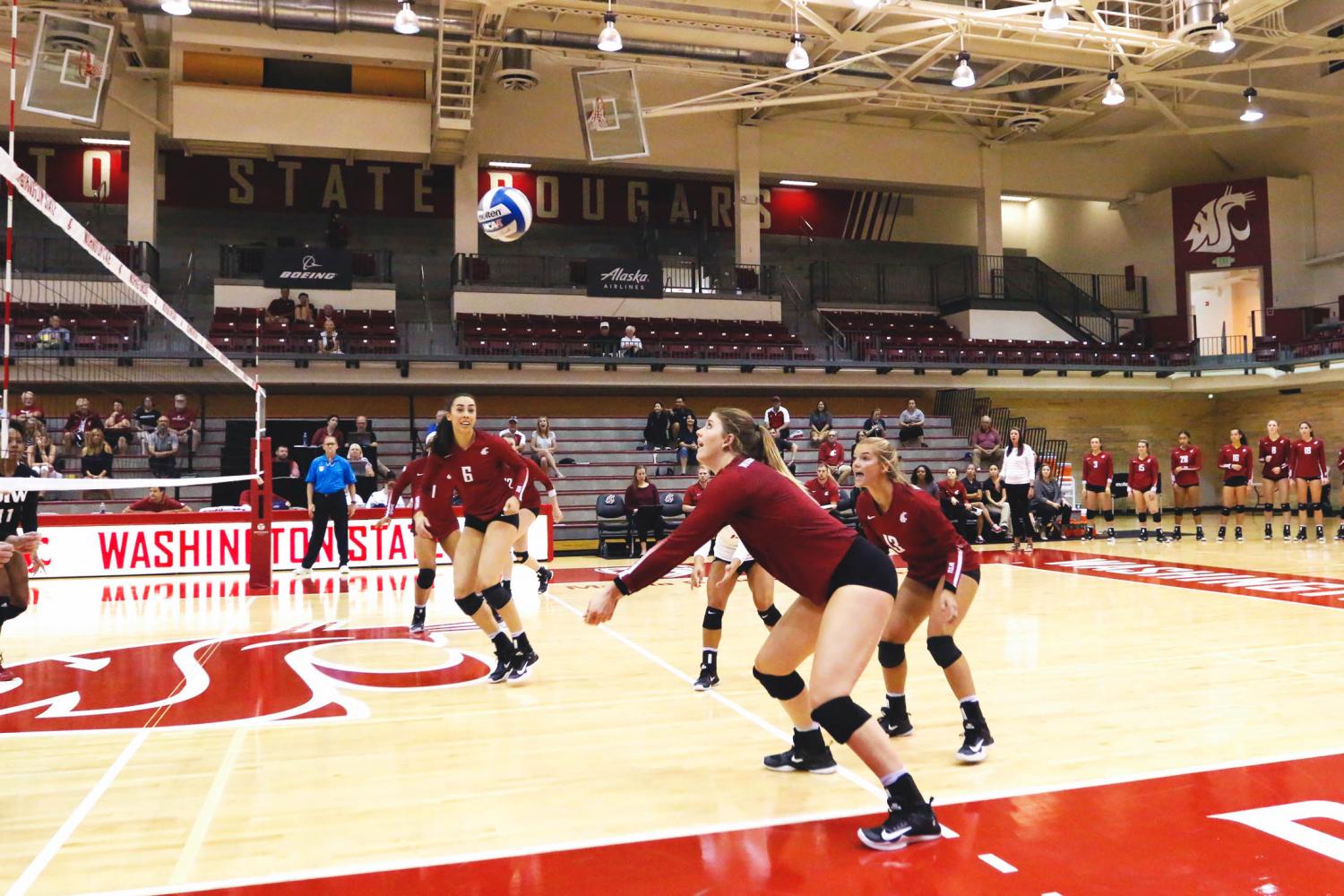 WSU sets up against the Incarnate Word Cardinals for their first game of the Cougar Challenge tournament.  WSU won 3-0.