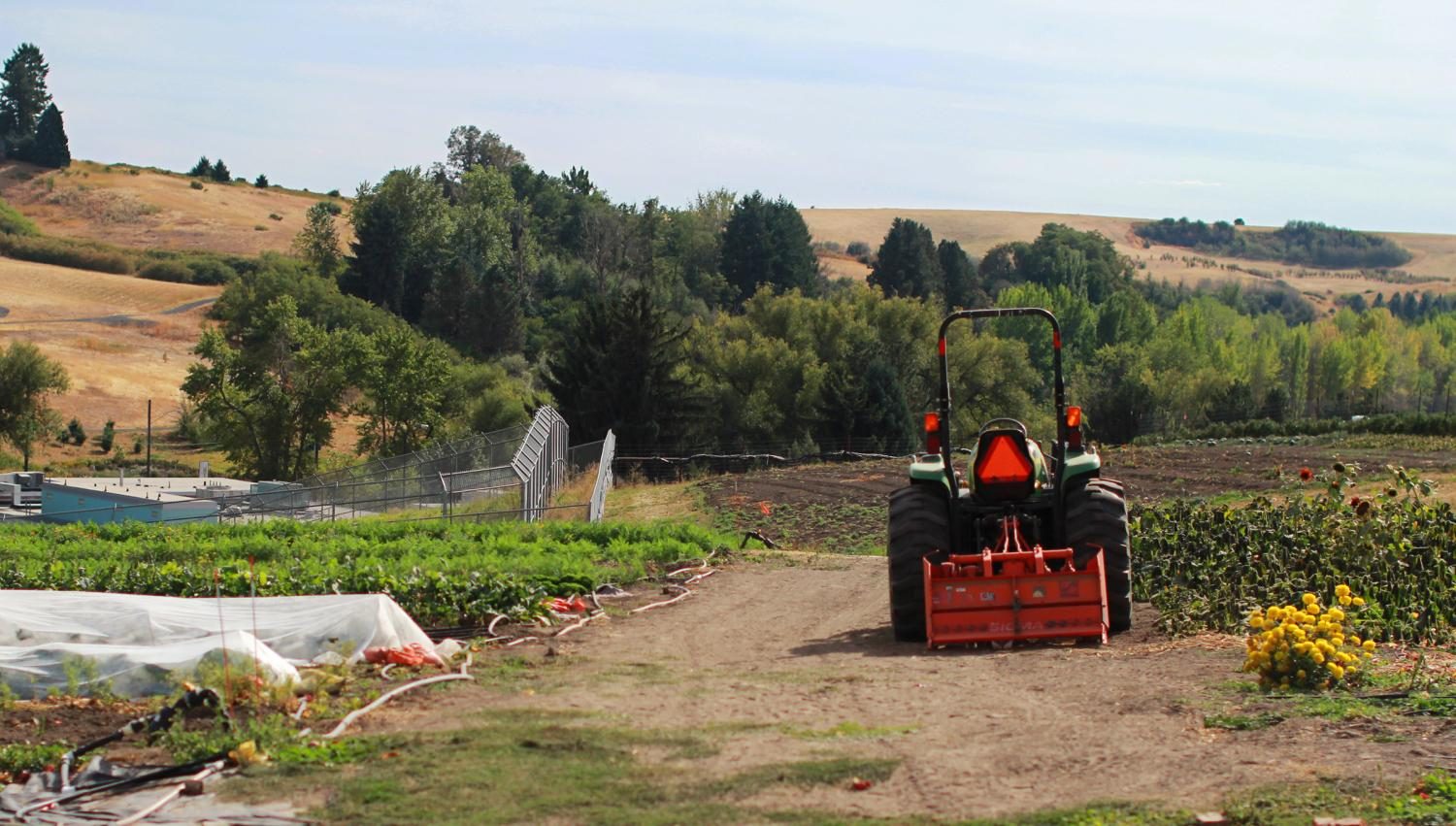 The WSU Organic Farm is located on campus, and they hold a produce stand  from 3 - 6 p.m. every Friday.