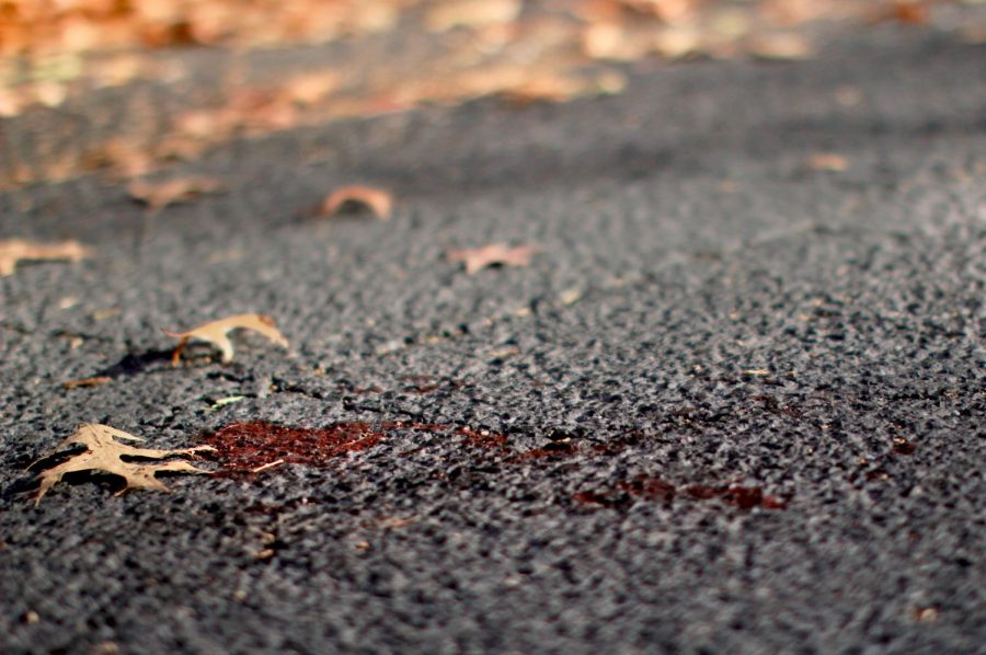 Blood spatter on the asphalt of Duncan Lane, near Northside Dining Hall, the location of Sunday mornings shooting. 