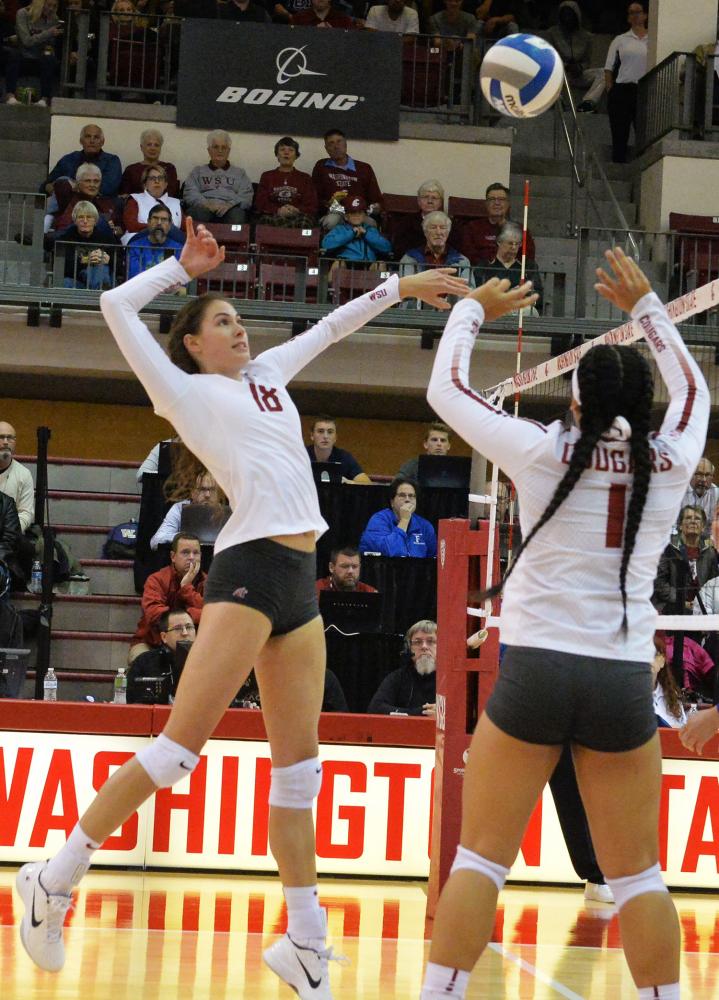 Junior+middle+blocker+Ella+Lajos+hits+the+ball+in+a+game+against+UW+on+Sept.+20.