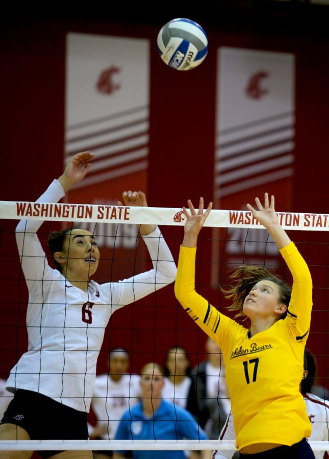 Redshirt+sophomore+middle+blocker+Jocelyn+Urias+prepares+to+receive+a+set+from+a+Cal+player+during+their+match+on+Nov.+10.%0A