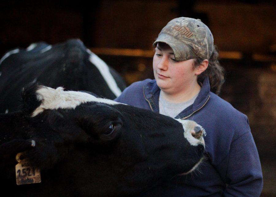 Senior Shelby Felder says she is a part of a family of farmers, but one of the last who specializes in dairy. Felder says cows are her favorite animals.