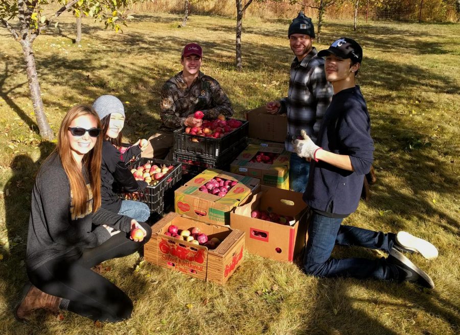 WSU and University of Idaho students harvest food together earlier this year.