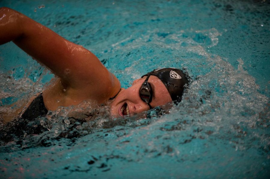A Cougar swimmer makes her way through the water during a meet against Oregon State on Friday.