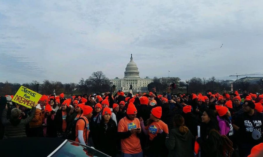Activists gather at the Capitol Building to protest the lack of action regarding the DREAM Act.