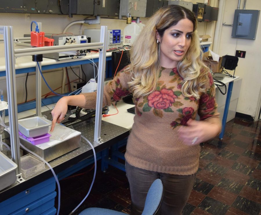 Mechanical engineering graduate student Mahdieh Babaiasl explains the needle waterjet project.