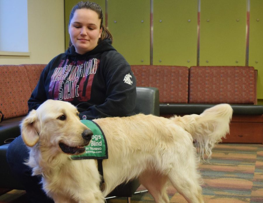Co-leader Chandler Fish and her guide dog in training, Mick, explains her experience working for the guide dog training program. 