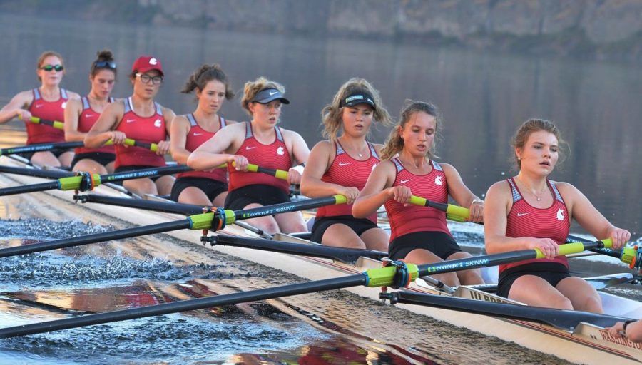 Members of the WSU rowing team compete in the Head of the Lake in Seattle earlier this year.