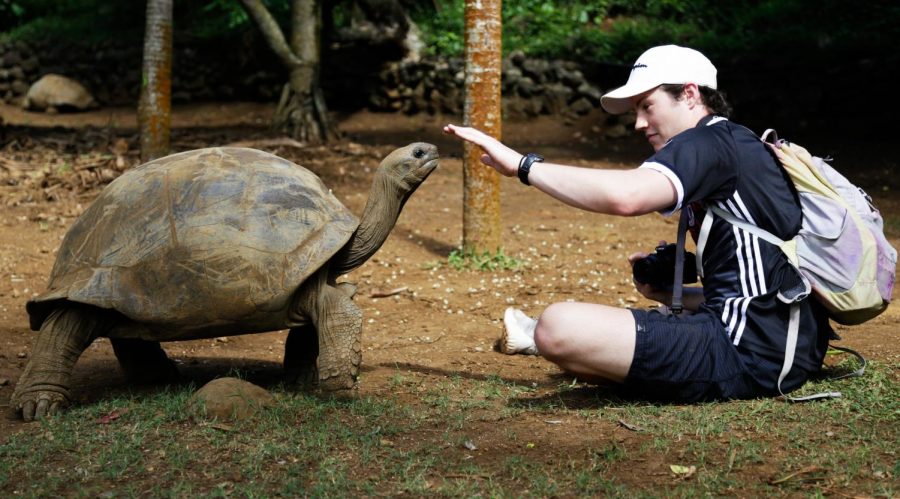 A Semester at Sea student sits down with a female giant tortoise, who had a gentle demeanor.