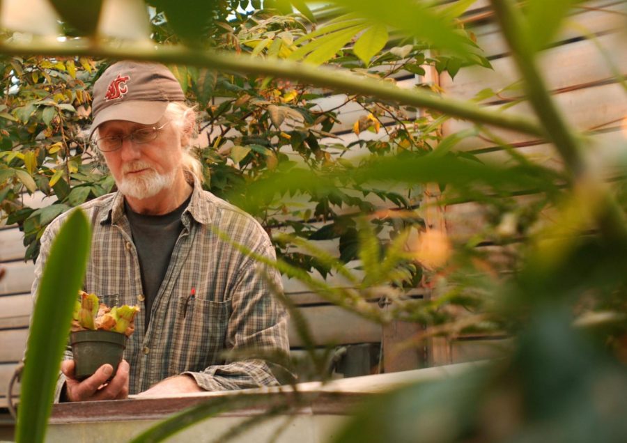 Chuck Cody, plant growth facilities manager for the School of Biological Sciences, has been in charge of the greenhouse since it opened in 1985.
