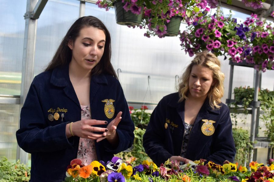 Future Farmers of America Treasurer Aliya Dunlap, left, and President Hailey Penman show off the flowers that the club takes care of. Dunlap said the flower sale brings together students and locals from all over Pullman.