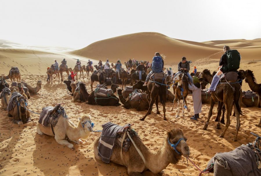 The camels were guided by camel-pullers, who also helped the students balance themselves while riding the animals. 