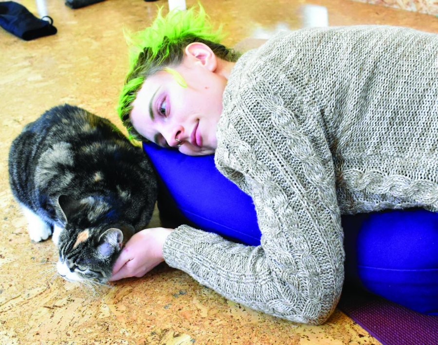 Sheila+Fitzgerald%2C+an+instructor+at+Sanctuary+Yoga%2C+enjoys+a+yoga+session+with+their+cat%2C+Beans.