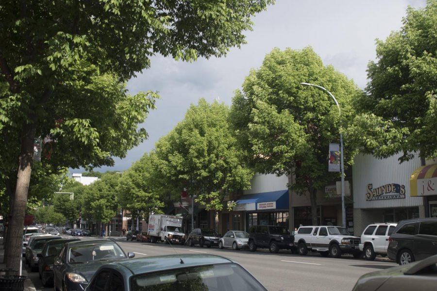 Trees, such as these ones on Main Street, may soon be trimmed or removed to free up space for projects such as a new fountain.