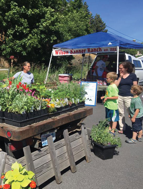 Pullman Farmers Market offers community opportunity access to fresh, locally grown produce and meets. The market opens this Wednesday at 3:30 p.m.