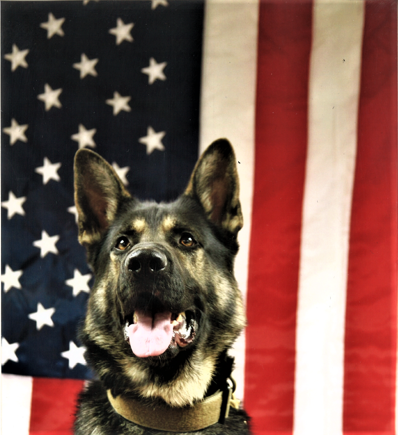 Unix, Whitman County Sheriffs Office narcotics dog, passed away overnight Friday.