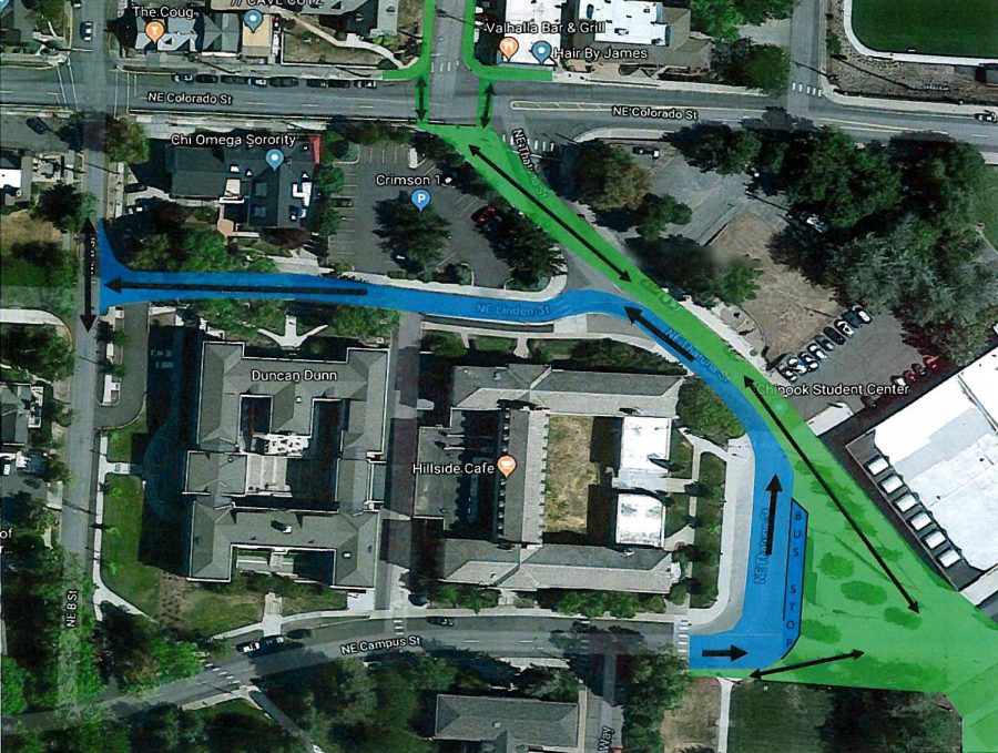 The blue route marks the flow of traffic during the June trial, while the green route shows the pedestrian-only zones.  