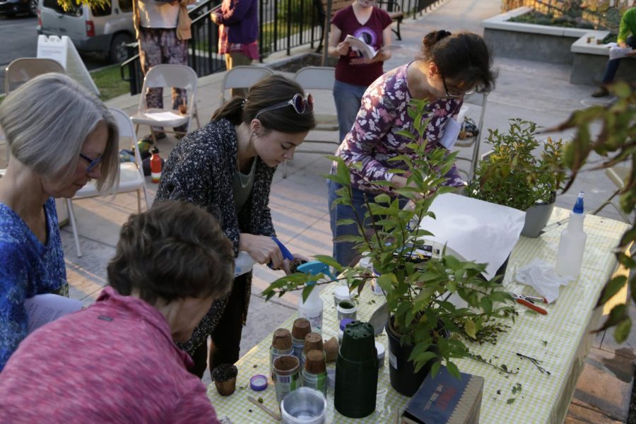 Engineering professor at University of Idaho Karen Frenzel , left, Caroline Landis, middle, and other participants tend to their plant clippings at the Summer Gardening Series: Plant Propagating event Tuesday at the Moscow Public Library.