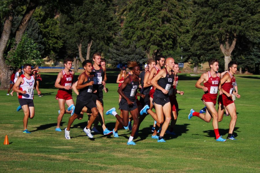 The WSU men’s cross country team competes in its first race of the season with WSU alumni on Aug. 31, 2018 at the Colfax Golf Club.