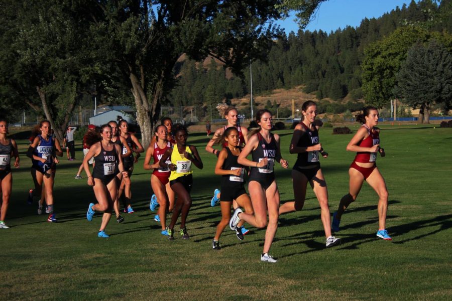Members on the 2018 WSU women’s cross country team and joining alumni start their 4K race Friday at the Colfax Golf Club.