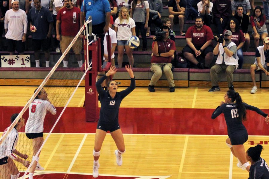 WSU+junior+setter+Ashley+Brown+sets+up+the+volleyball+for+a+spike+against+Illinois+State+University+at+the+Cougar+Challenge+on+Sept.+7+in+Bohler+Gym.+