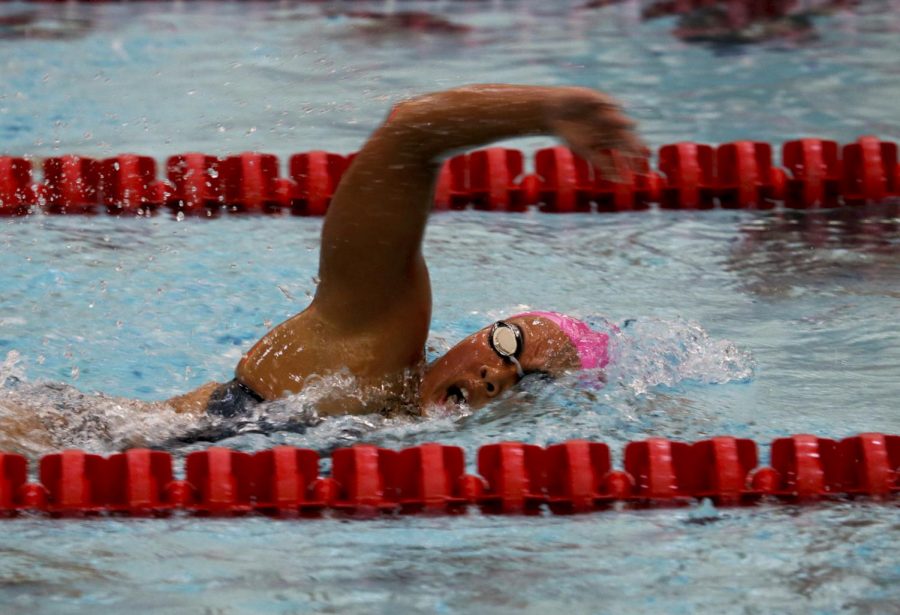 Senior Rachel Thompson races freestyle during the WSU vs. Arizona swim meet Oct. 14, 2017 in Gibb Pool. 