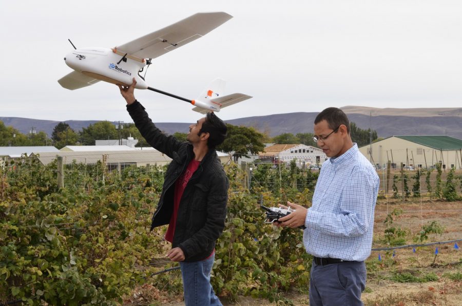 Manoj Karkee, an assistant professor in the biological systems engineering department, right, and Suraj Amatya, left, evaluating a fixed-wing unmanned aerial vehicle, which is a device that chases birds away from wine grapes.