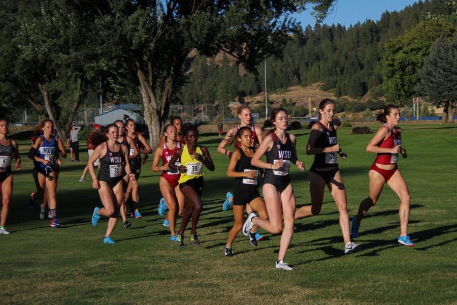 The+2018+WSU+womens+cross+country+team+and+joining+alumni+start+their+race+Aug.+31+at+the+Colfax+Golf+Club.