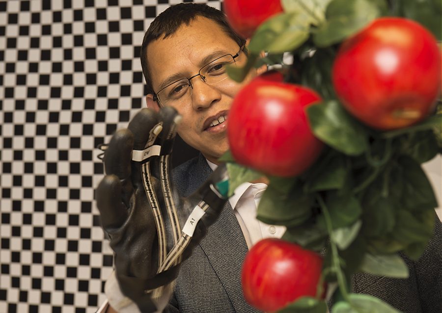 Manoj Karkee, an assistant professor in the biological systems engineering department, uses a  glove with sensors to evaluate how humans pick apples. The information collected can help develop ways to create effective robotic hands. 