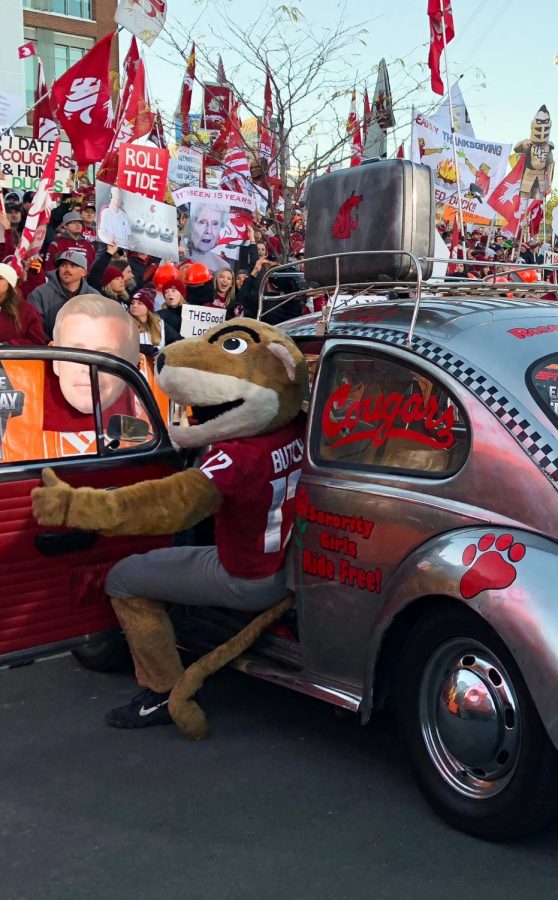 Butch the Cougar gets out of the Volkswagen Beetle as its sits backstage at College GameDay on Oct. 20. 