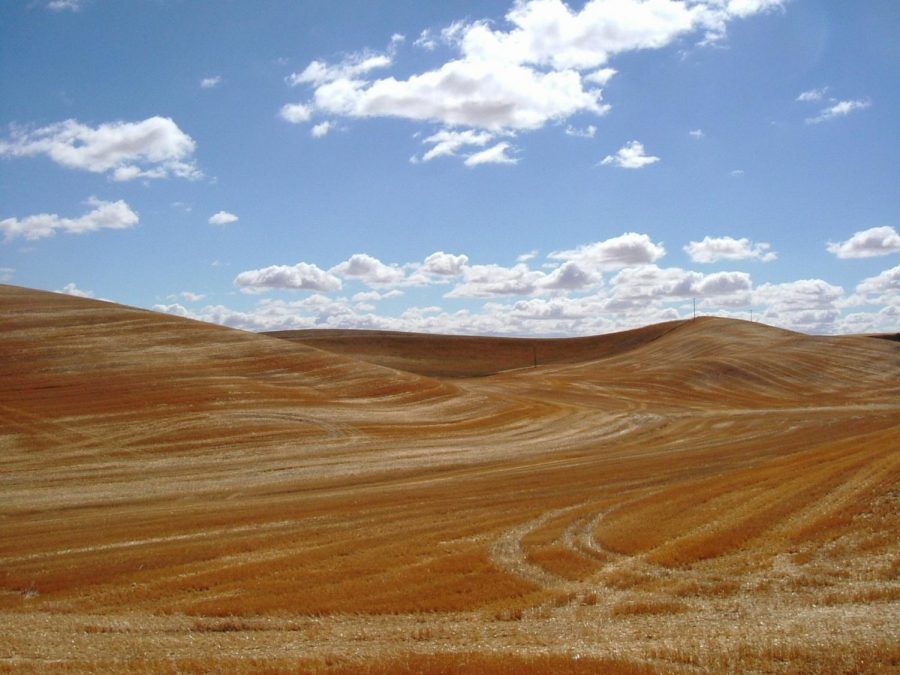 To+keep+Palouse+beautiful%2C+event+organizers+say+take+action.