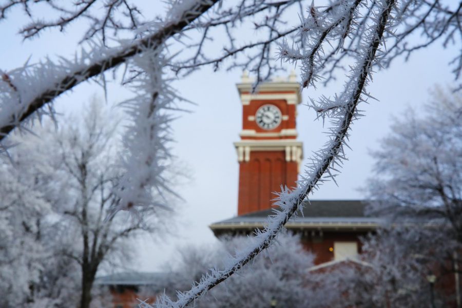 The Bryan Clock Tower stand out against a white Monday morning. 