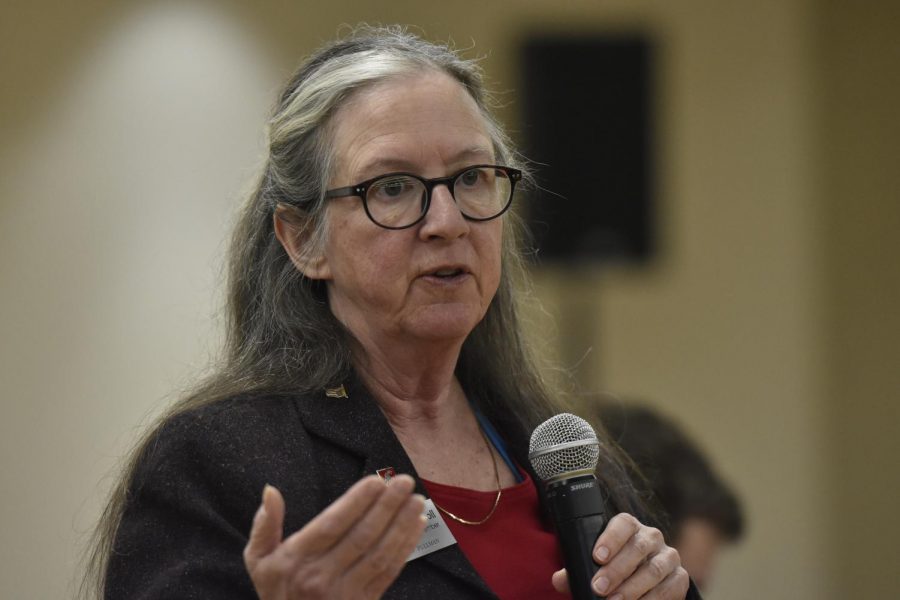 Eileen Macoll, member of Pullman City council and the Whitman County Solid Waste Advisory Committee, says plastic bags cause litter and disrupt machinery in recycling plants. 