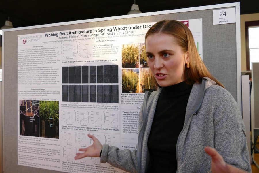 Kathleen+Hickey%2C+first-year+graduate+student+in+the+molecular+and+plant+science+program%2C+discusses+her+findings+on+root+development+during+drought+conditions+Thursday+afternoon+in+the+Ensminger+Pavilion.
