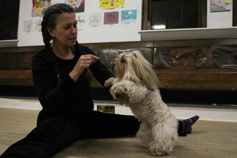 Dance instructor Shelly Werner dances with her 11-year-old Shih Tzu-Maltese poodle mix Roxy on Monday night at Moscow Yoga Center. Roxy attends Werner’s classes.