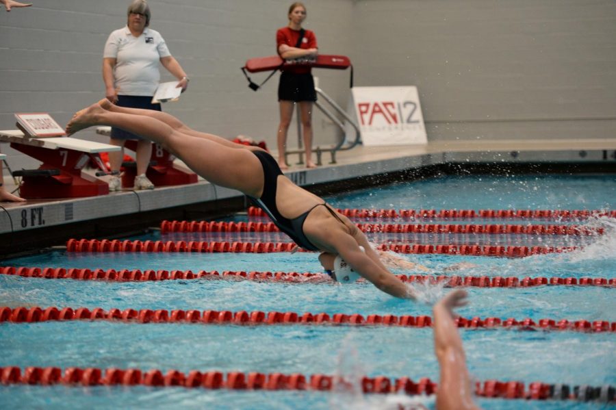 Sophomore Sophie Larson competes as the fourth leg of the A team in the 400 yard freestyle during the dual against Utah on Feb. 16 at Gibb Pool.
