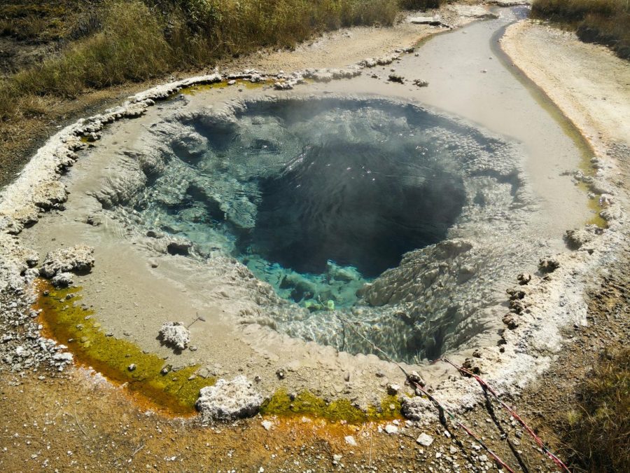 Thermal bacteria grows in natural springs located at Yellowstone National Park. The device WSU and Montana State University students use to collect samples is shown in the picture above.